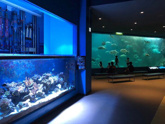 Wakayama Prefectural Museum of Natural History